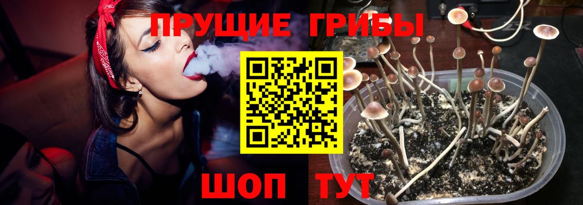 Псилоцибиновые грибы прущие грибы Абакан